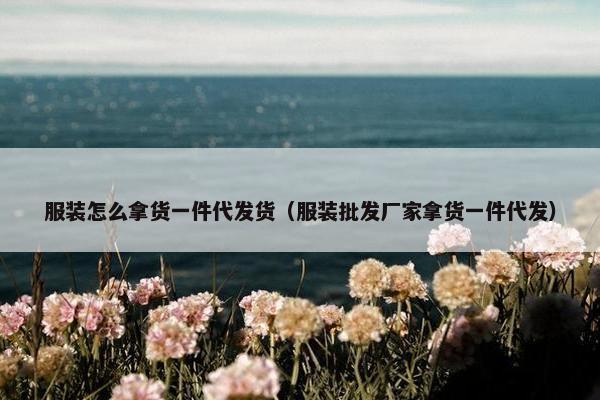 服装怎么拿货一件代发货（服装批发厂家拿货一件代发）
