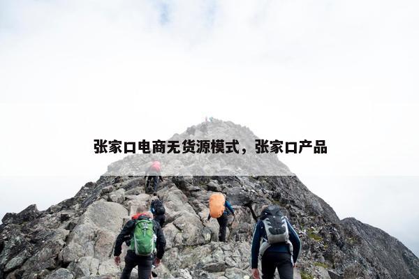张家口电商无货源模式，张家口产品