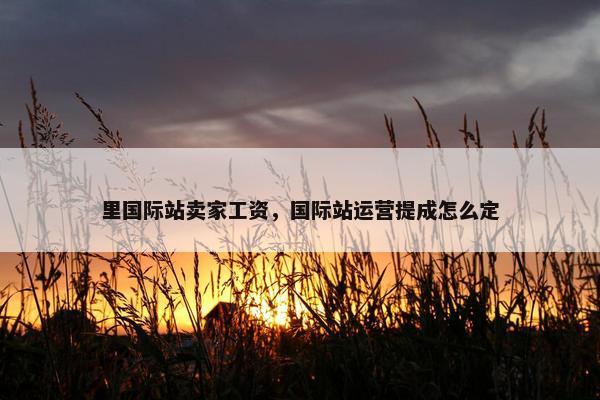 里国际站卖家工资，国际站运营提成怎么定