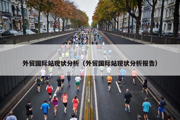 外贸国际站现状分析（外贸国际站现状分析报告）