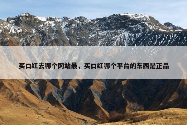 买口红去哪个网站最，买口红哪个平台的东西是正品