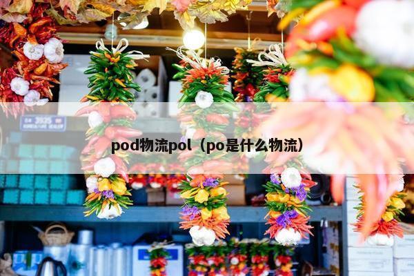 pod物流pol（po是什么物流）