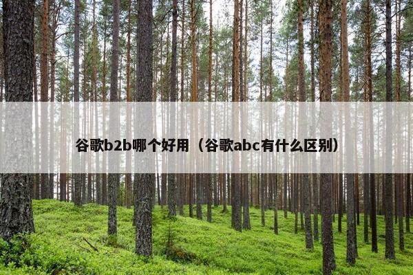 谷歌b2b哪个好用（谷歌abc有什么区别）
