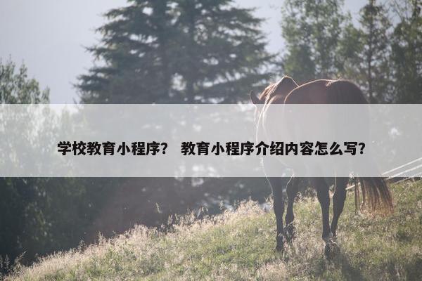 学校教育小程序？ 教育小程序介绍内容怎么写？