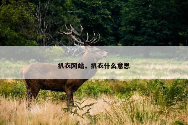 扒衣网站，扒衣什么意思