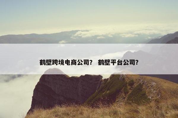 鹤壁跨境电商公司？ 鹤壁平台公司？