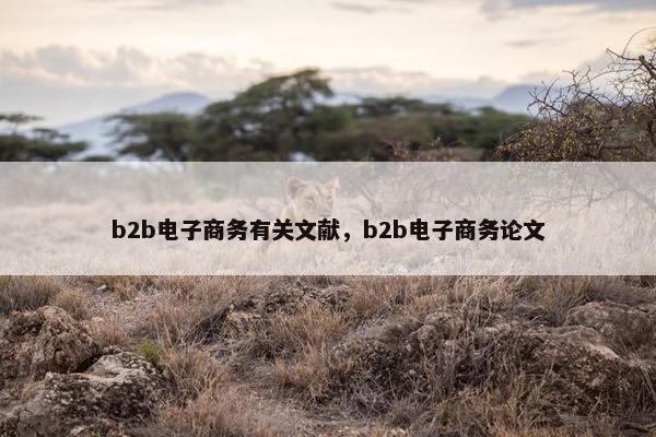 b2b电子商务有关文献，b2b电子商务论文
