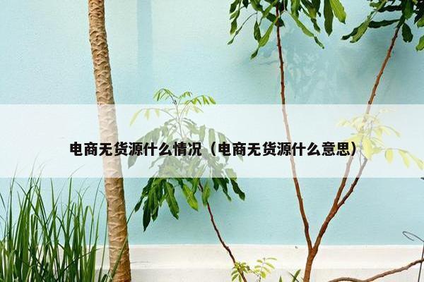 电商无货源什么情况（电商无货源什么意思）