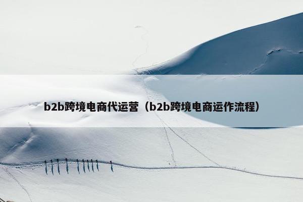 b2b跨境电商代运营（b2b跨境电商运作流程）