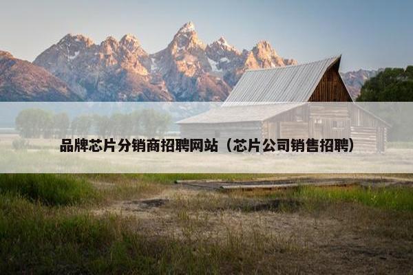 品牌芯片分销商招聘网站（芯片公司销售招聘）