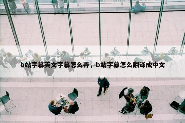 b站字幕英文字幕怎么弄，b站字幕怎么翻译成中文