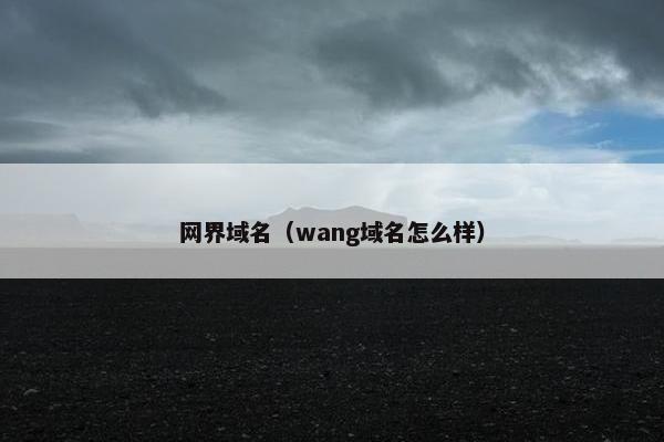 网界域名（wang域名怎么样）