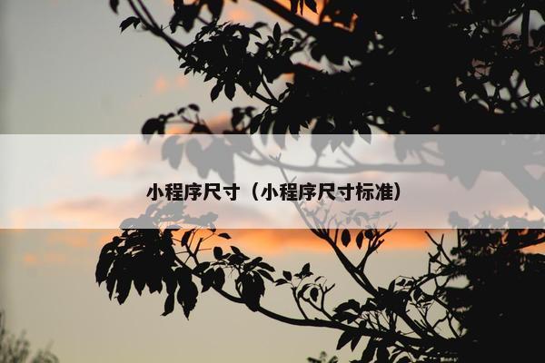 小程序尺寸（小程序尺寸标准）