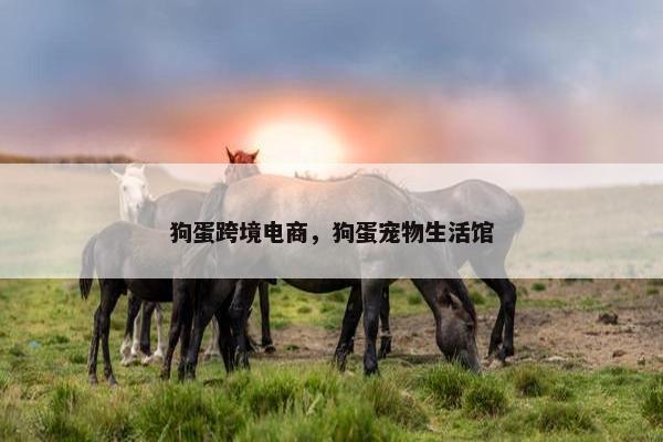 狗蛋跨境电商，狗蛋宠物生活馆