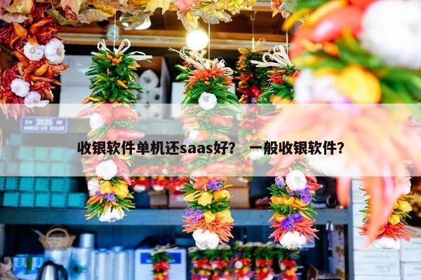 收银软件单机还saas好？ 一般收银软件？