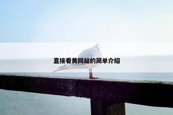 直接看黄网站的简单介绍
