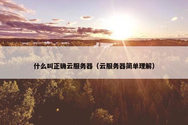 什么叫正确云服务器（云服务器简单理解）