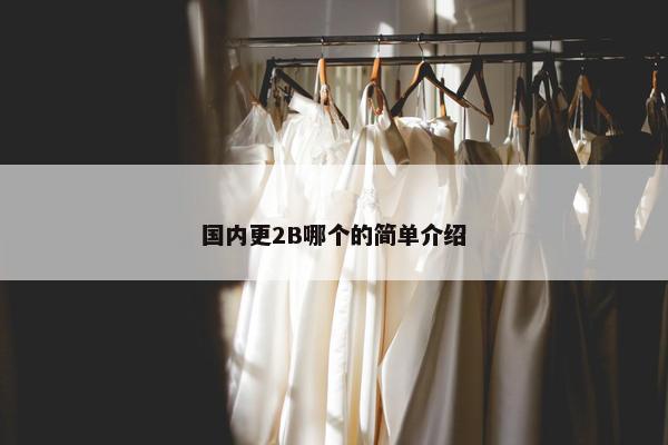 国内更2B哪个的简单介绍