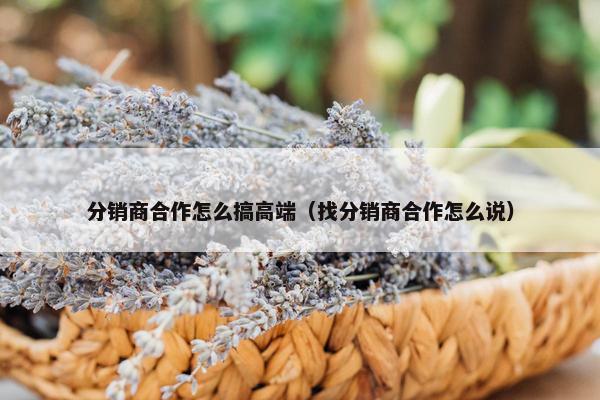 分销商合作怎么搞高端（找分销商合作怎么说）