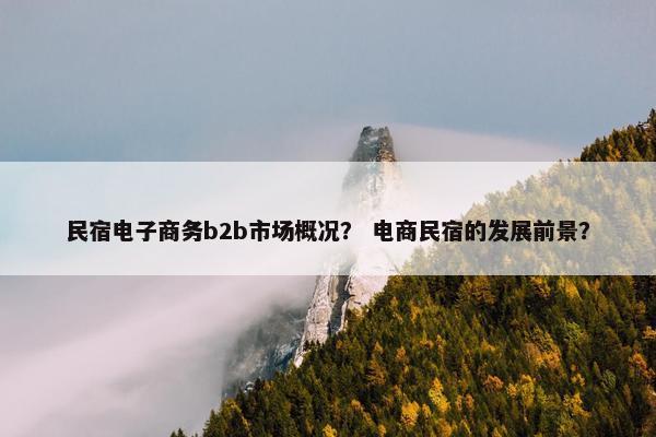 民宿电子商务b2b市场概况？ 电商民宿的发展前景？