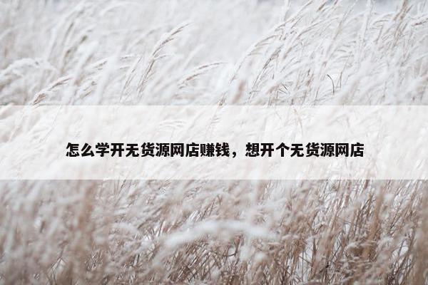 怎么学开无货源网店赚钱，想开个无货源网店