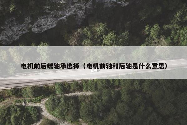 电机前后端轴承选择（电机前轴和后轴是什么意思）