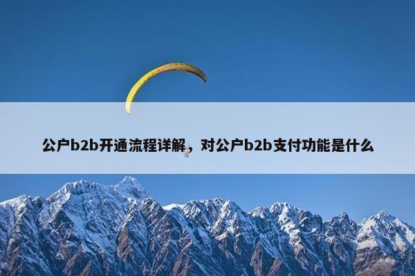 公户b2b开通流程详解，对公户b2b支付功能是什么
