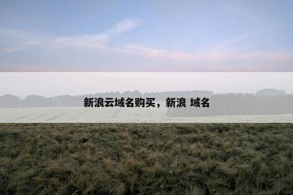 新浪云域名购买，新浪 域名