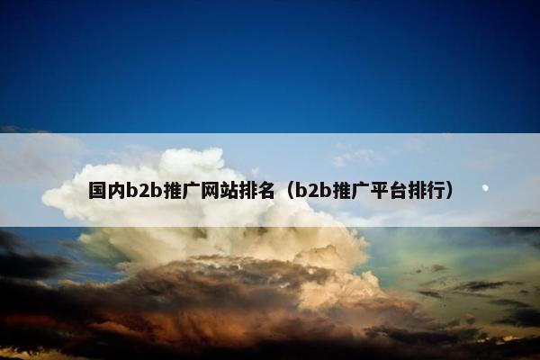 国内b2b推广网站排名（b2b推广平台排行）