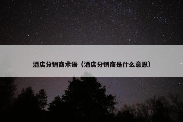酒店分销商术语（酒店分销商是什么意思）