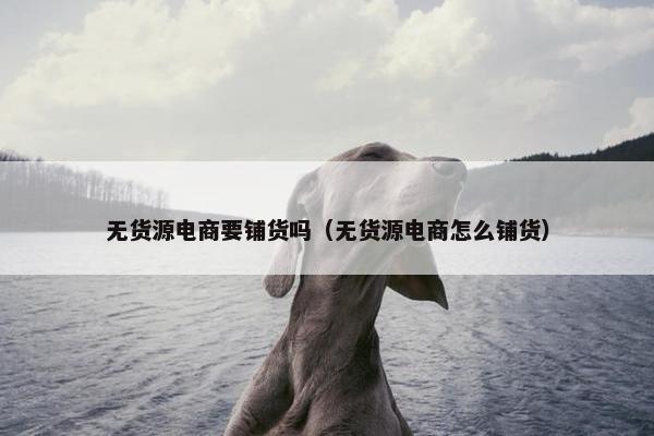 无货源电商要铺货吗（无货源电商怎么铺货）