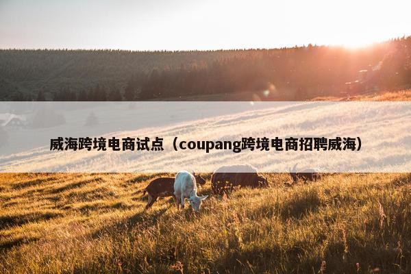 威海跨境电商试点（coupang跨境电商招聘威海）