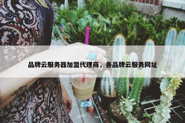 品牌云服务器加盟代理商，各品牌云服务网址