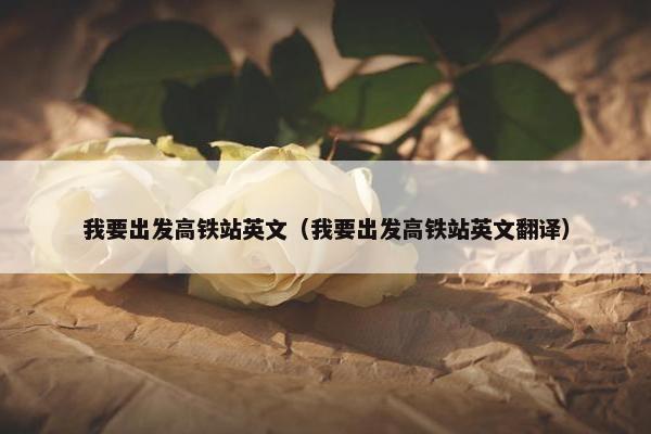 我要出发高铁站英文（我要出发高铁站英文翻译）