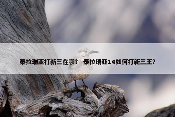 泰拉瑞亚打新三在哪？ 泰拉瑞亚14如何打新三王？
