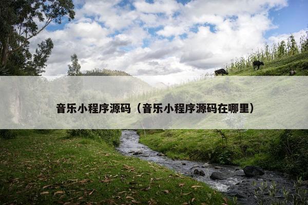 音乐小程序源码（音乐小程序源码在哪里）