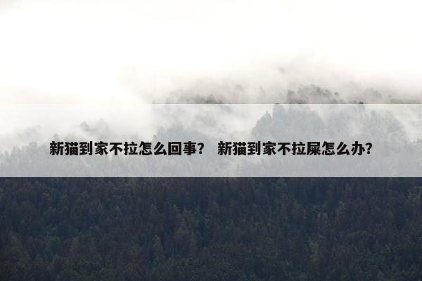 新猫到家不拉怎么回事？ 新猫到家不拉屎怎么办？