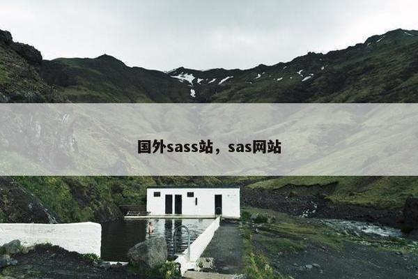 国外sass站，sas网站