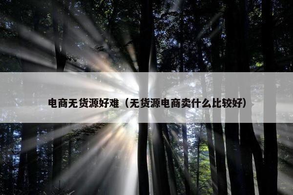 电商无货源好难（无货源电商卖什么比较好）