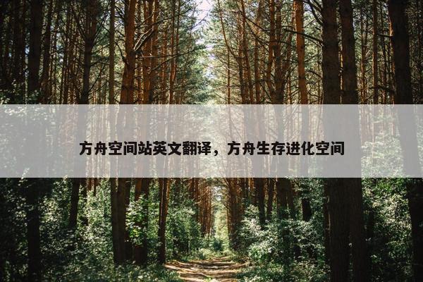 方舟空间站英文翻译，方舟生存进化空间