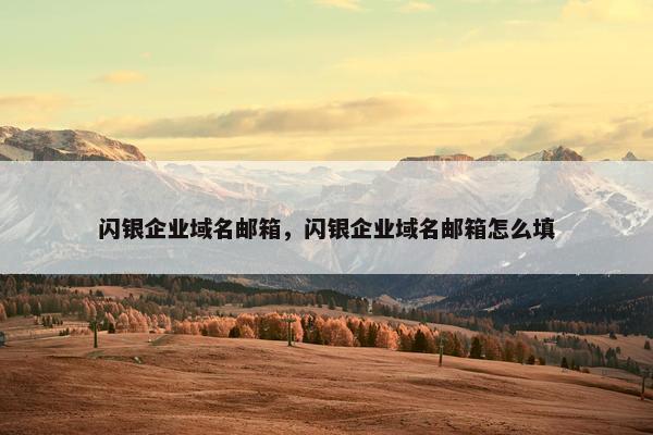闪银企业域名邮箱，闪银企业域名邮箱怎么填