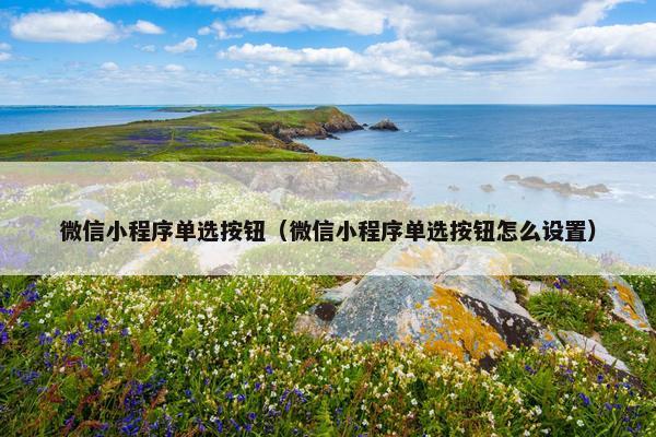 微信小程序单选按钮（微信小程序单选按钮怎么设置）