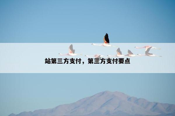 站第三方支付，第三方支付要点