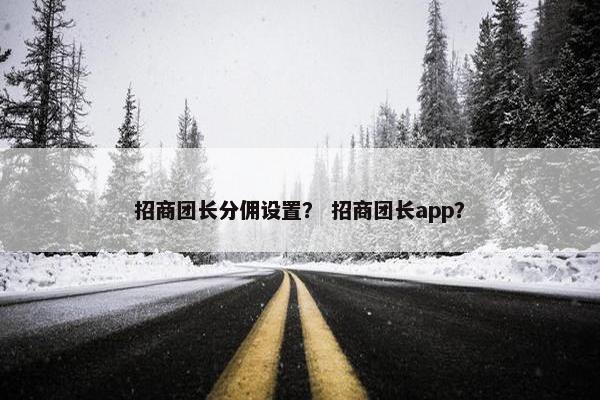 招商团长分佣设置？ 招商团长app？