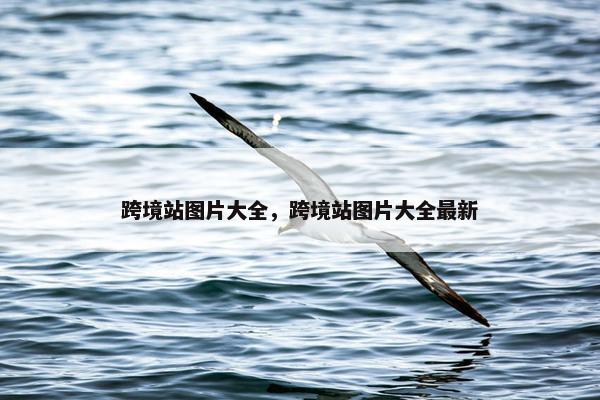 跨境站图片大全，跨境站图片大全最新