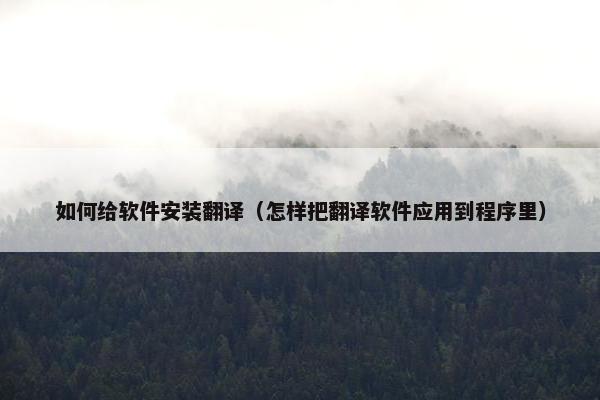 如何给软件安装翻译（怎样把翻译软件应用到程序里）