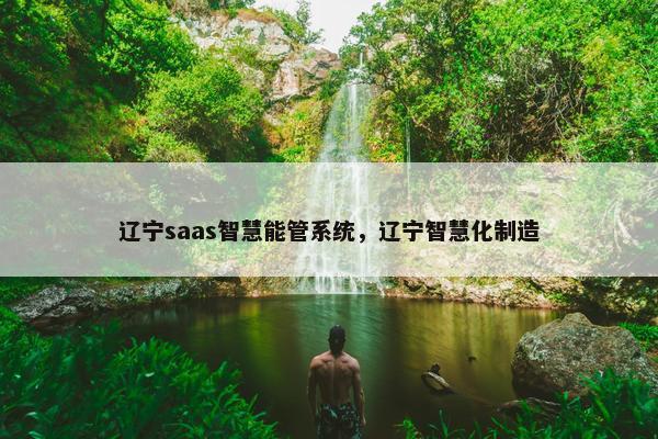辽宁saas智慧能管系统，辽宁智慧化制造