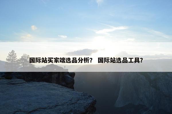 国际站买家端选品分析？ 国际站选品工具？