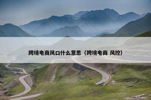 跨境电商风口什么意思（跨境电商 风控）