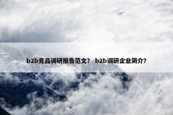 b2b竞品调研报告范文？ b2b调研企业简介？